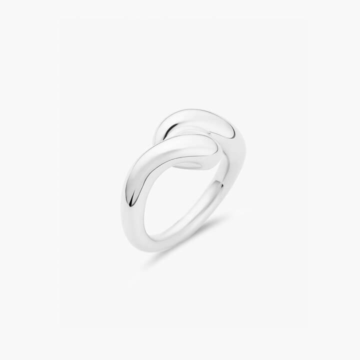 Breeze ring Zilver in de groep Ringen / Zilveren ringen bij SCANDINAVIAN JEWELRY DESIGN (BEE-R2M-S)