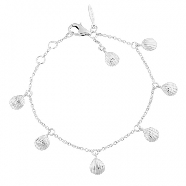 Beach full bracelet in de groep Armbanden / Zilveren armbanden bij SCANDINAVIAN JEWELRY DESIGN (BEH-B2M181-S)