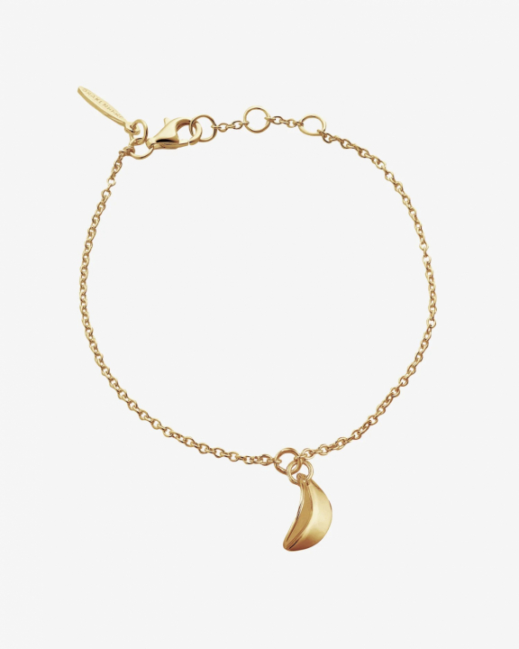 Botanica drop bracelet gold in de groep Armbanden / Gouden armbanden bij SCANDINAVIAN JEWELRY DESIGN (BTA-B1S181-G)