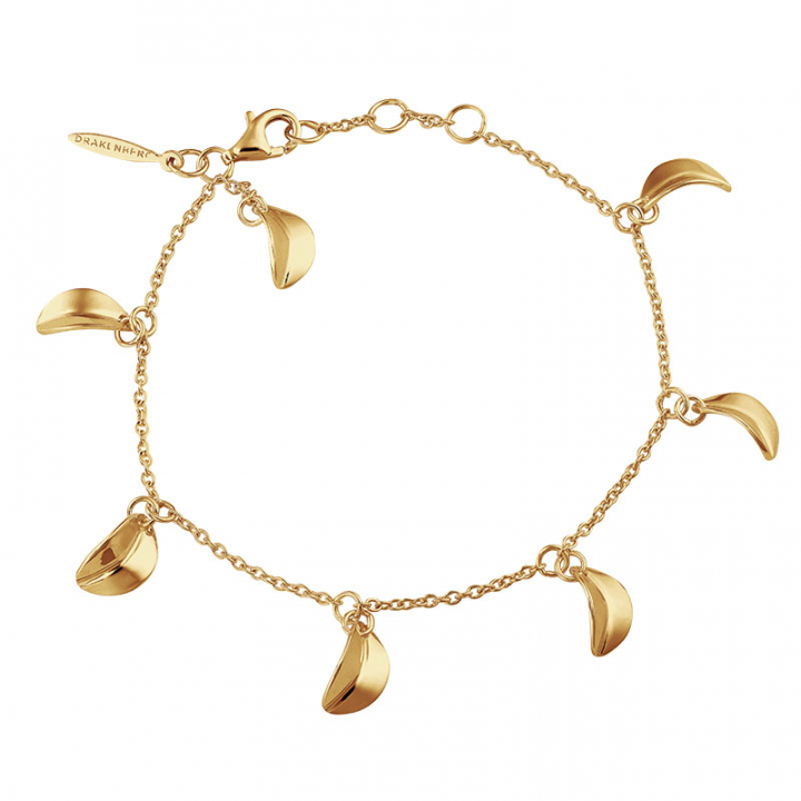 Botanica drop full bracelet gold in de groep Armbanden / Gouden armbanden bij SCANDINAVIAN JEWELRY DESIGN (BTA-B2S181-G)