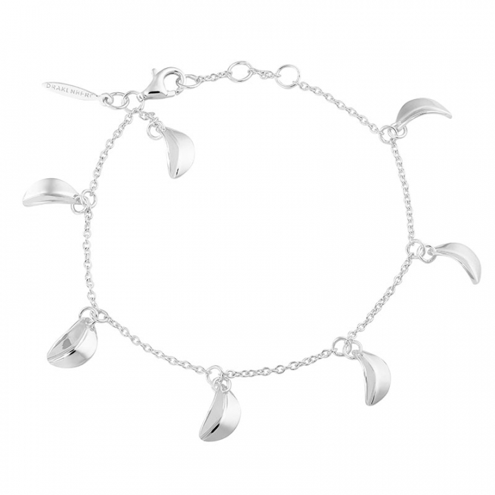 Product Image for DRAKENBERG SJÃLIN Botanica drop full bracelet