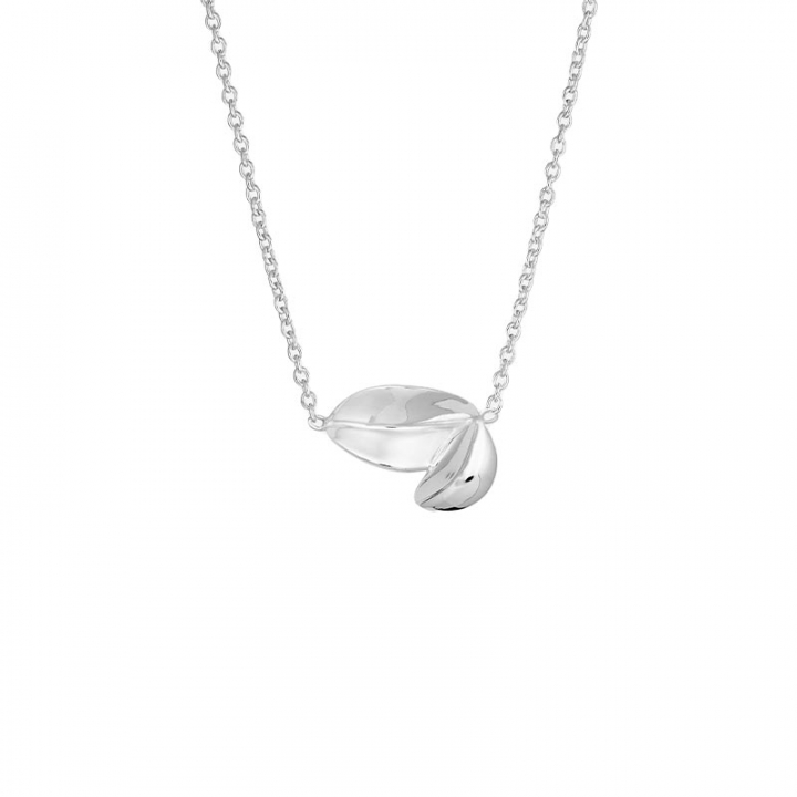 Product Image for DRAKENBERG SJÃLIN Botanica double necklace