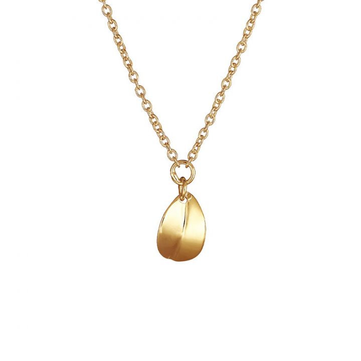 Botanica drop necklace gold in de groep Kettingen / Gouden kettingen bij SCANDINAVIAN JEWELRY DESIGN (BTA-N1S451-G)