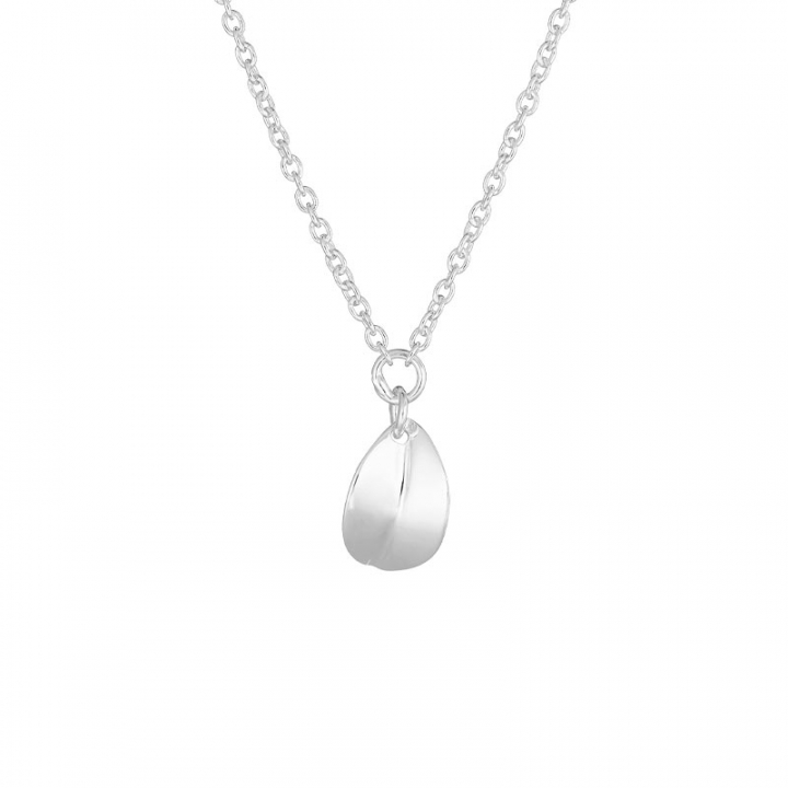 Product Image for DRAKENBERG SJÃLIN Botanica drop necklace