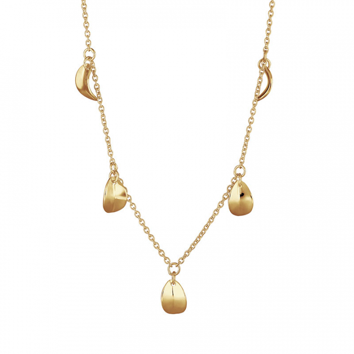 Botanica drop full necklace gold in de groep Kettingen / Gouden kettingen bij SCANDINAVIAN JEWELRY DESIGN (BTA-N3S501-G)