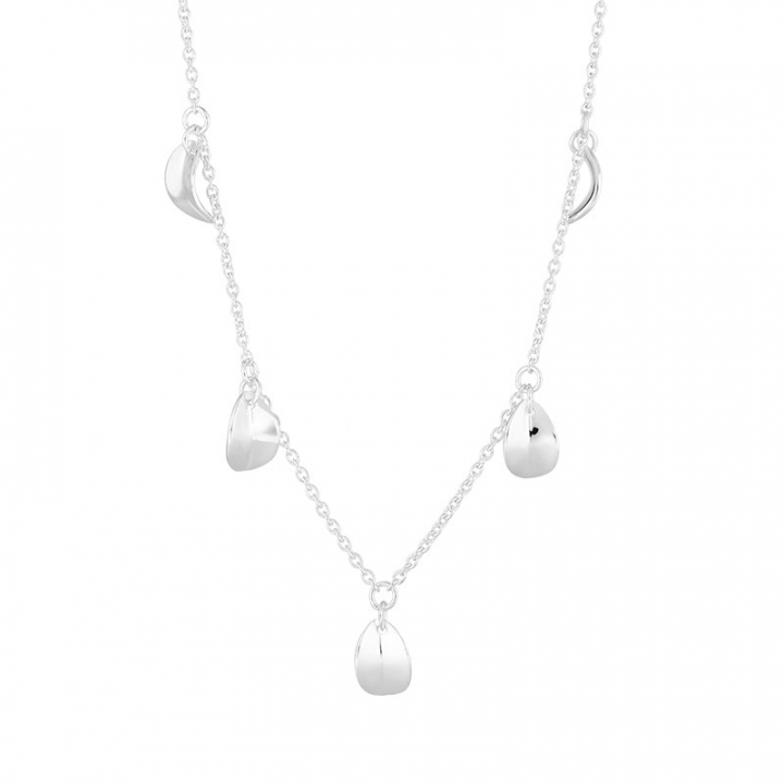 Product Image for DRAKENBERG SJÃLIN Botanica drop full necklace