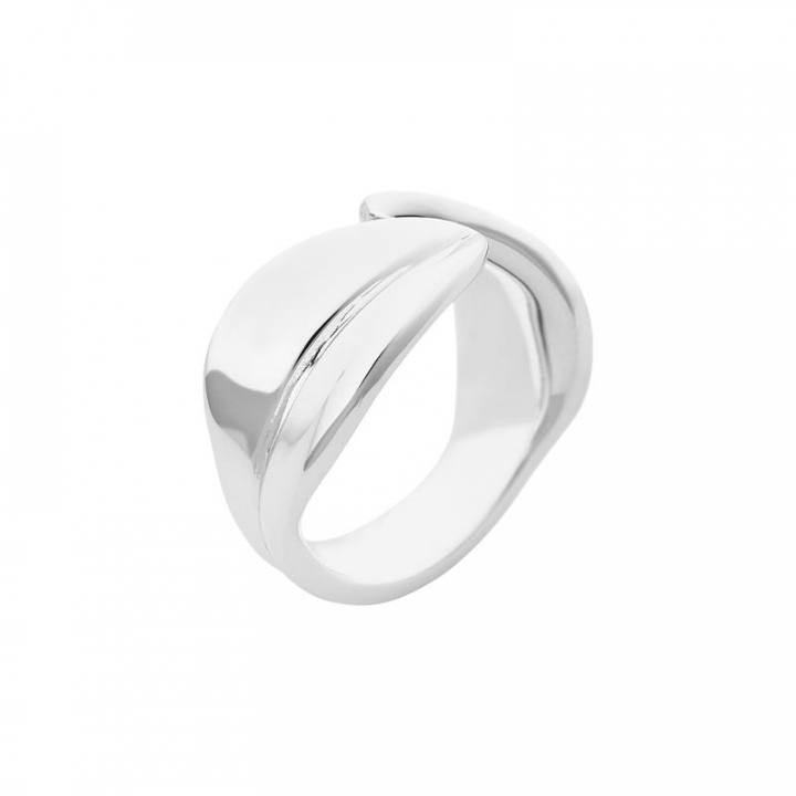Botanica ring in de groep Ringen / Zilveren ringen bij SCANDINAVIAN JEWELRY DESIGN (BTA-R1M150R)