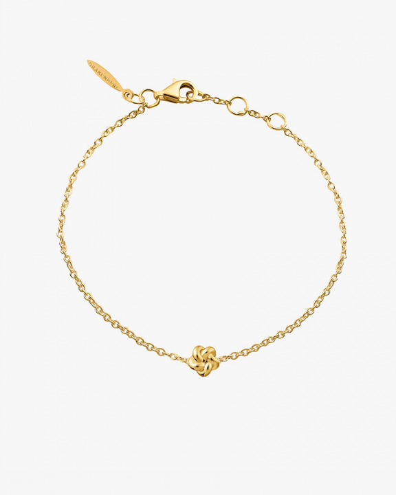 Empower drop Armbanden Goud in de groep Armbanden bij SCANDINAVIAN JEWELRY DESIGN (EPR-B1S181-G)