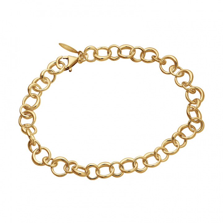 Product Image for DRAKENBERG SJÃLIN Les Amis drop chain Armbanden Goud