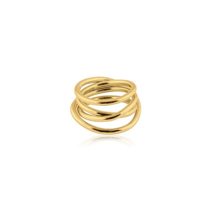 Chaos Ring (goud) in de groep Ringen bij SCANDINAVIAN JEWELRY DESIGN (R1921GPB0)