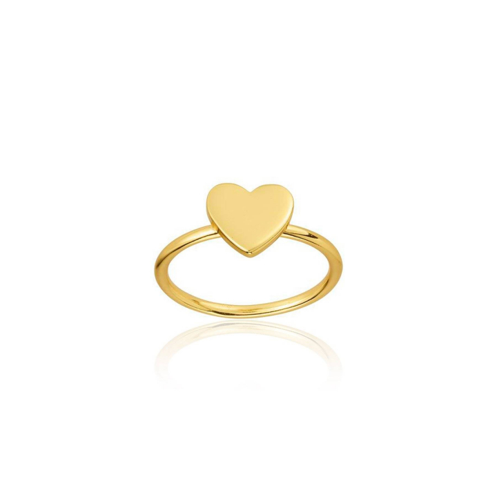 Heart Ring (goud) in de groep Ringen bij SCANDINAVIAN JEWELRY DESIGN (R2102GPS0)