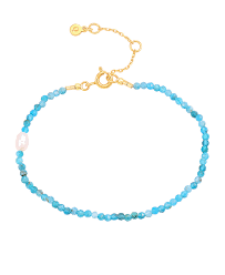 Wren Bracelet Gold in de groep Armbanden / Gouden armbanden bij SCANDINAVIAN JEWELRY DESIGN (S08580G)