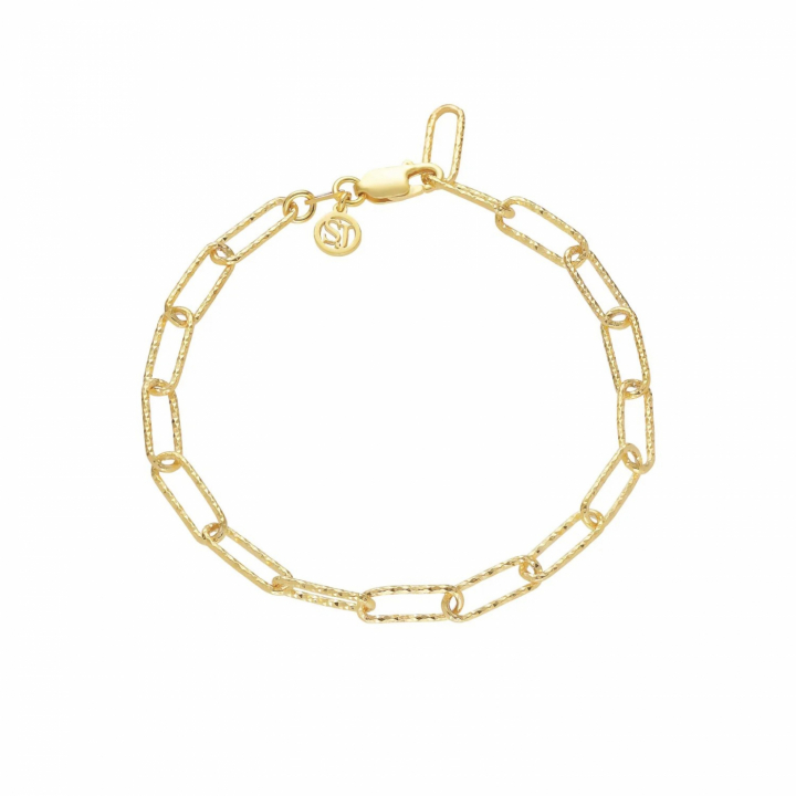 LUCE GRANDE Armbanden - Goud in de groep Armbanden / Gouden armbanden bij SCANDINAVIAN JEWELRY DESIGN (SJ-B12292-SG)