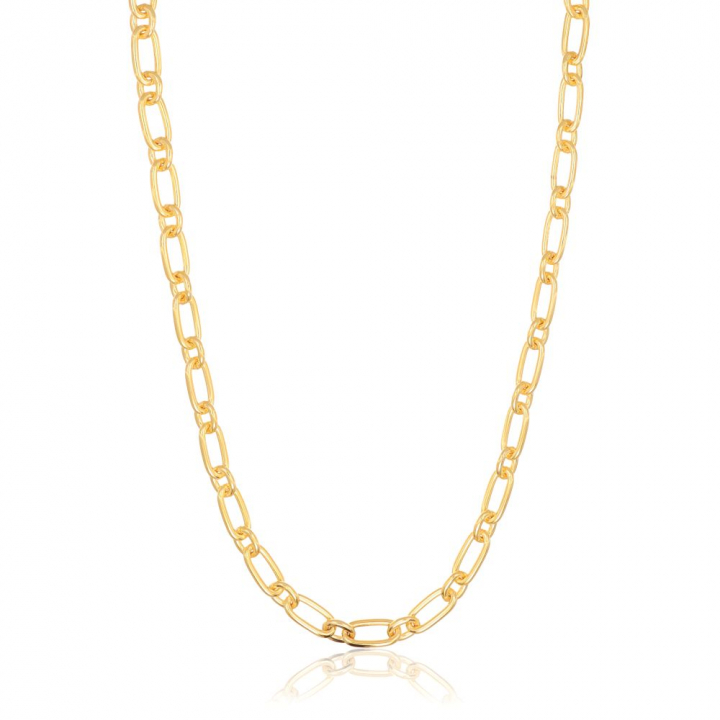 Capizzi - 18k Goudpläterad Kettingen in de groep Kettingen / Gouden kettingen bij SCANDINAVIAN JEWELRY DESIGN (SJ-C42233-YG)