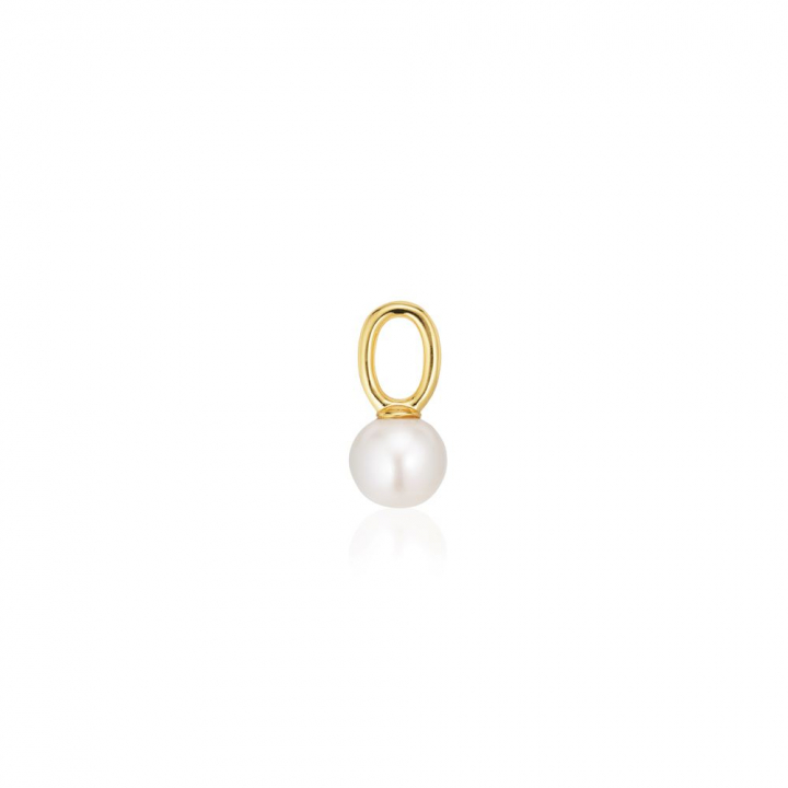 Charm Perla Uno  - 18k Goudpläterad, med sötvattenpärla Hoop  in de groep Oorbellen / Pareloorbellen bij SCANDINAVIAN JEWELRY DESIGN (SJ-CH2378-P-YG)