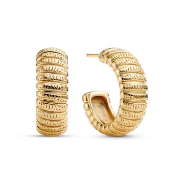  in de groep Oorbellen / Gouden oorbellen bij SCANDINAVIAN JEWELRY DESIGN (SJ-E2755-YG)