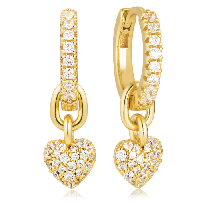 Caro Creolo Oorbel in de groep Oorbellen / Gouden oorbellen bij SCANDINAVIAN JEWELRY DESIGN (SJ-E72352-CZ-YG)