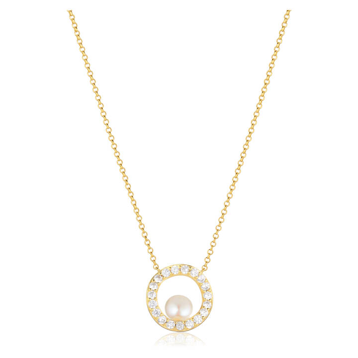 PONZA CIRCOLO Kettingen in de groep Kettingen / Gouden kettingen bij SCANDINAVIAN JEWELRY DESIGN (SJ-N12348-PCZ-YG)