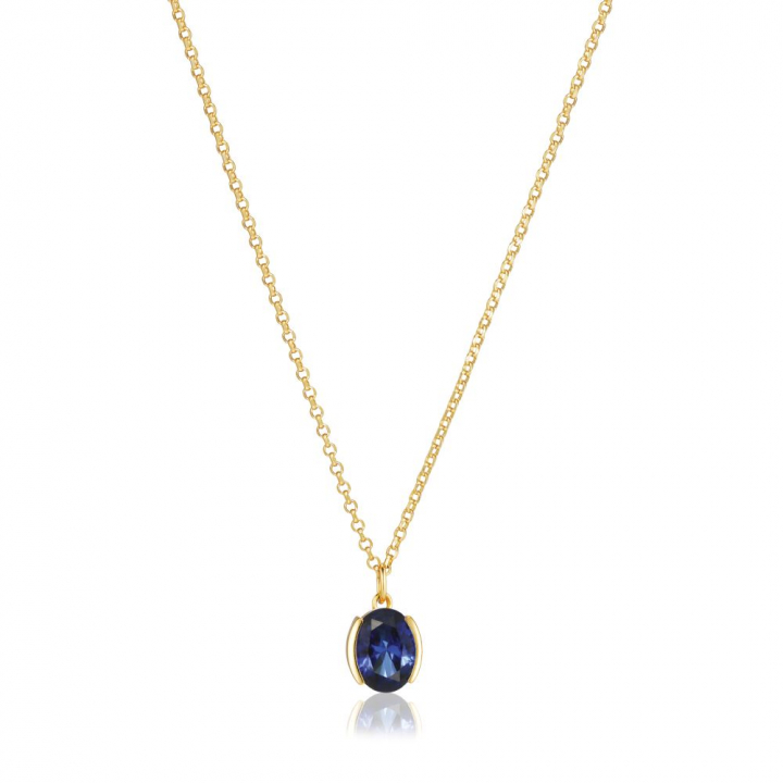 Ellisse Carezza - 18k Goudpläterade, med blåa zirkoner Kettingen in de groep Kettingen / Gouden kettingen bij SCANDINAVIAN JEWELRY DESIGN (SJ-N2353-BLCZ-YG)