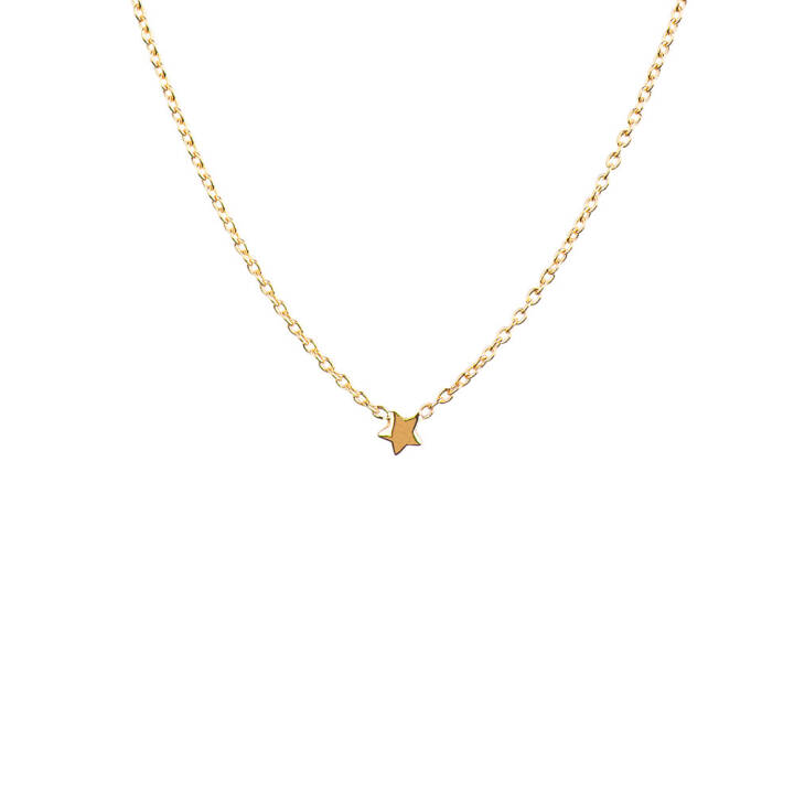 Product Image for DRAKENBERG SJÃLIN Stella Nova drop Kettingen Goud
