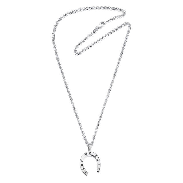 Take No Shit - Large Hanger Zilver