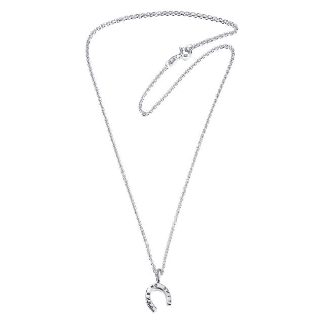 Take No Shit Hanger Zilver