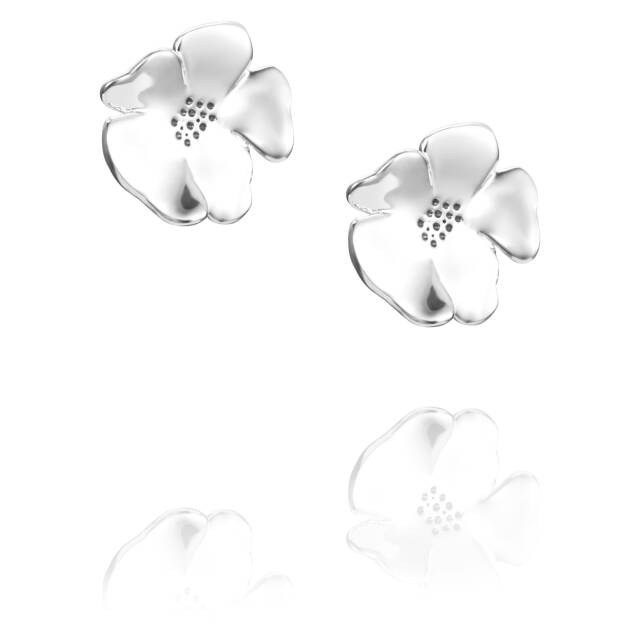 Violet Oorbel Zilver