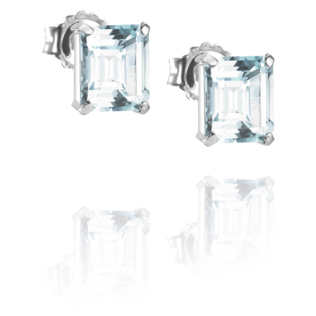 A Macaron Dream Oorbel Zilver