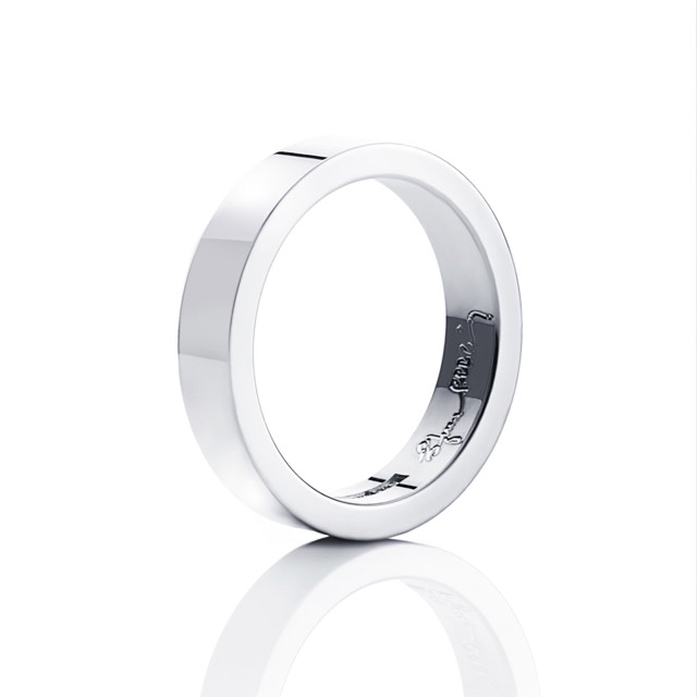 4½ Ring Zilver