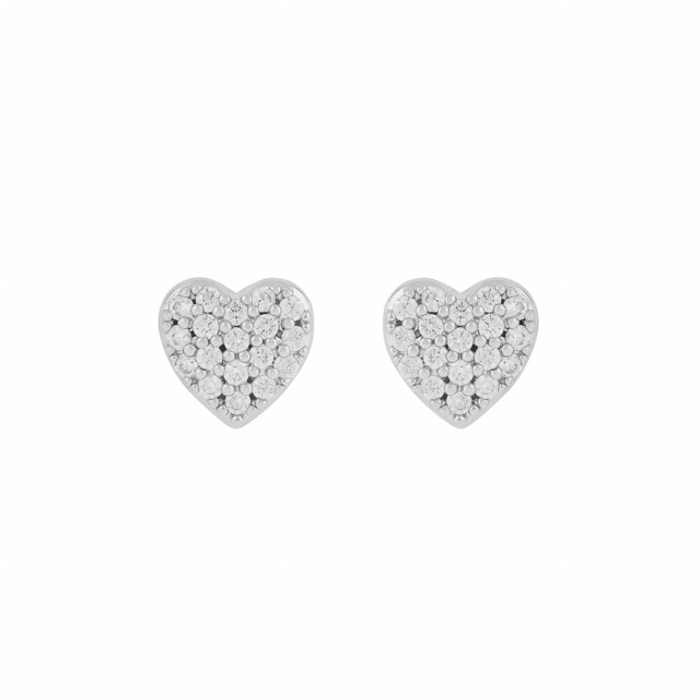 Lovely small crystal Earrings Silver