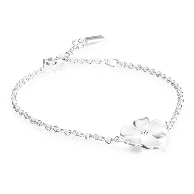 Violet Armbanden Zilver