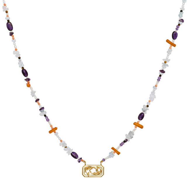 Zodiac Water Pisces Kettingen (Goud)