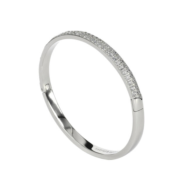 CLARISSA Armbanden Staal