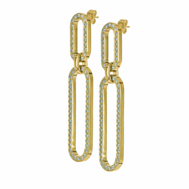 EXCELLENT Long Oorbellen Goud