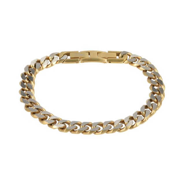 TEXAS Armbanden Staal/Goud