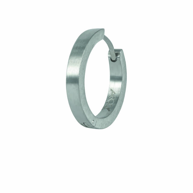 WILLE Oorbellen Matt Staal