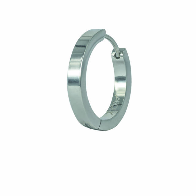 WILLE Oorbellen Blankt Staal