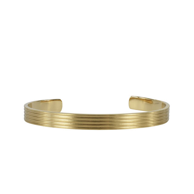 DAVE Bangle Armbanden Goud