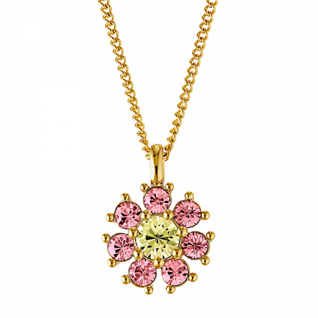 DELISE Goud YELLOW/ROSE