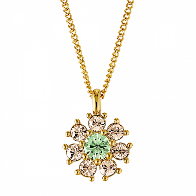 DELISE Goud L.GREEN/GOLDEN