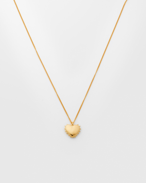 True Love Spike Heart Kettingen Goud