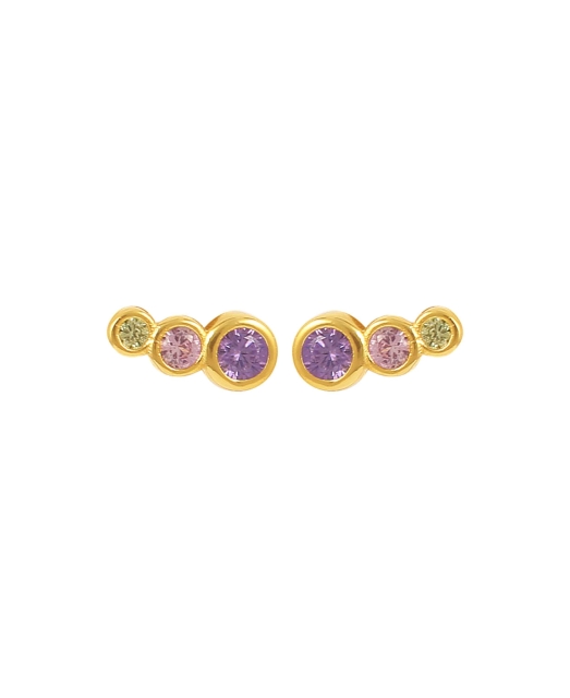 Lucian Pink Multi Earrings Goud
