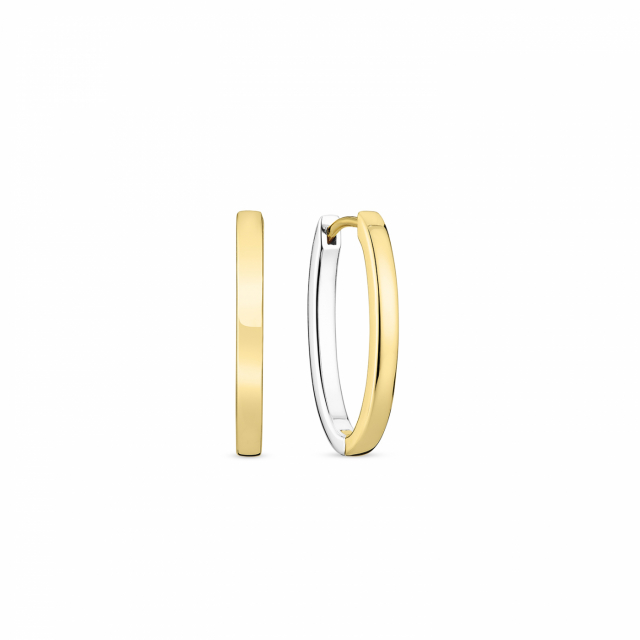 ELLISSE PIANURA PICCOLO EARRINGS Silver/Gold