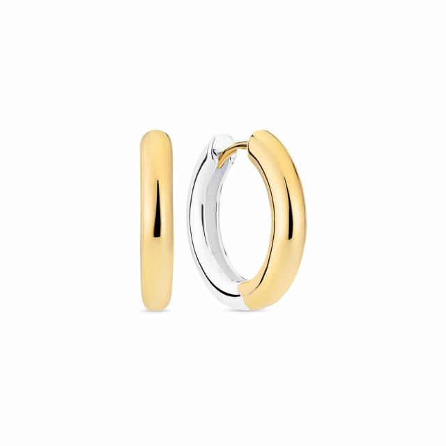 CARRARA PIANURA MEDIO EARRINGS Silver/Gold