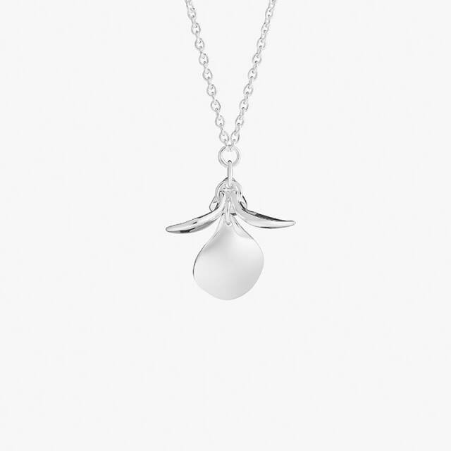 Violet single Kettingen