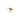 Sagene Trail Stud Goldplated Silver