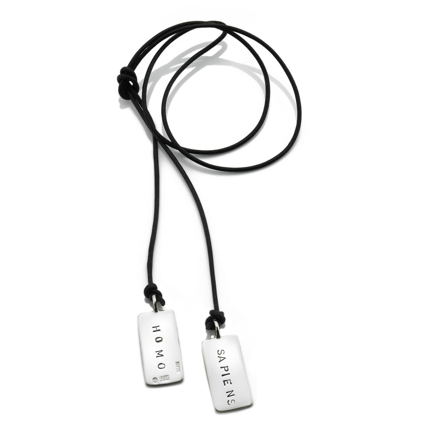 Homo Sapiens Kettingen Zilver