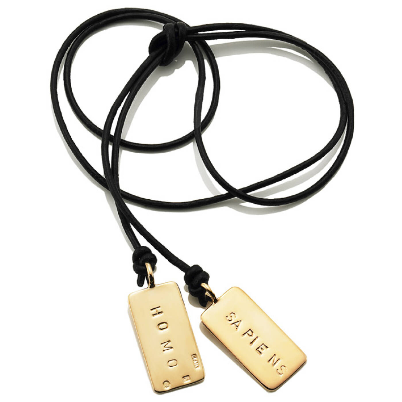 Homo Sapiens Kettingen goud