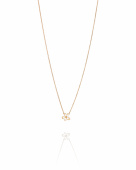 Forget-Me-Not Necklace Goldplated Silver Forget-Me-Not Necklace Goldplated Silver