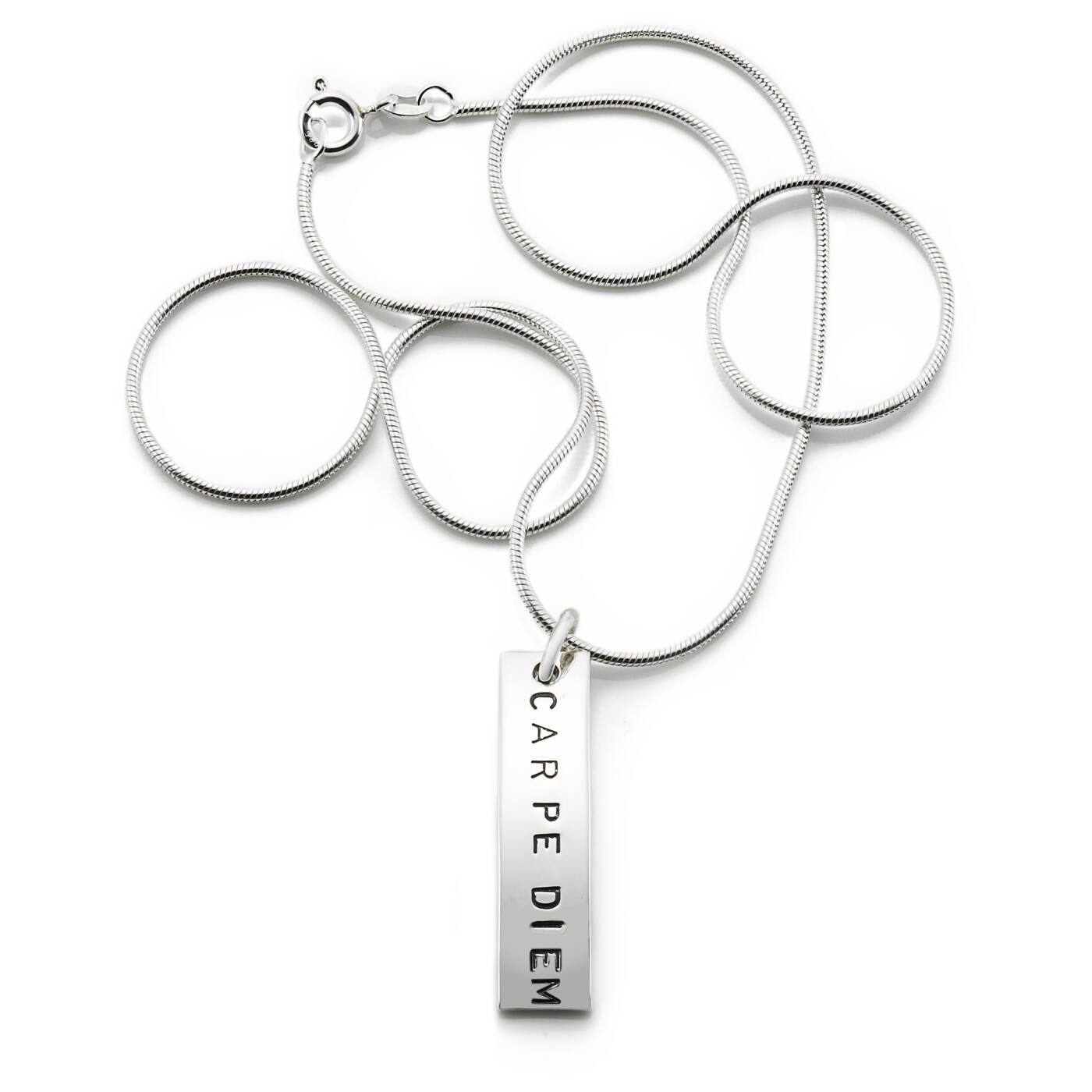 Carpe Diem Hanger Zilver